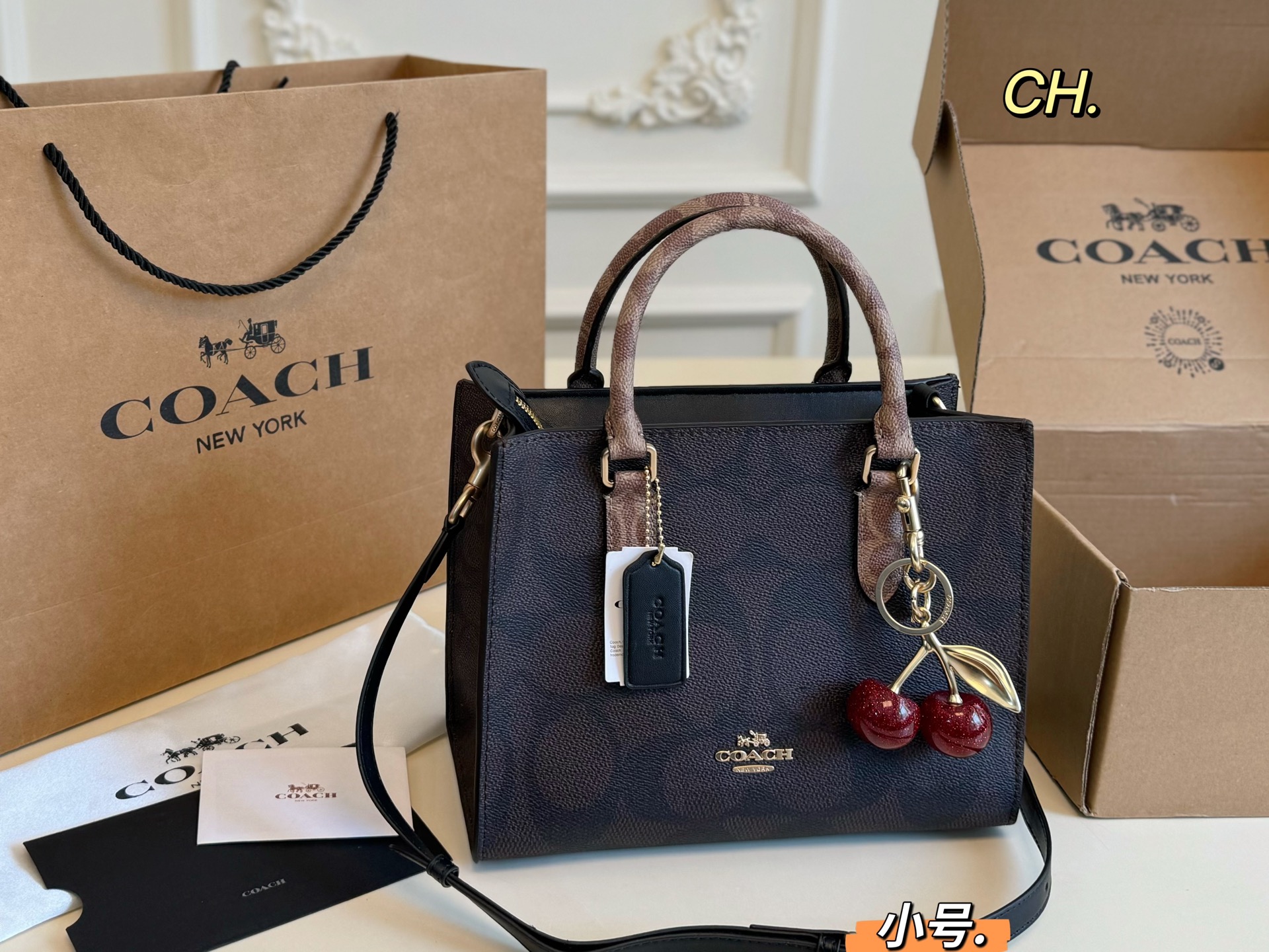 coach bag 118